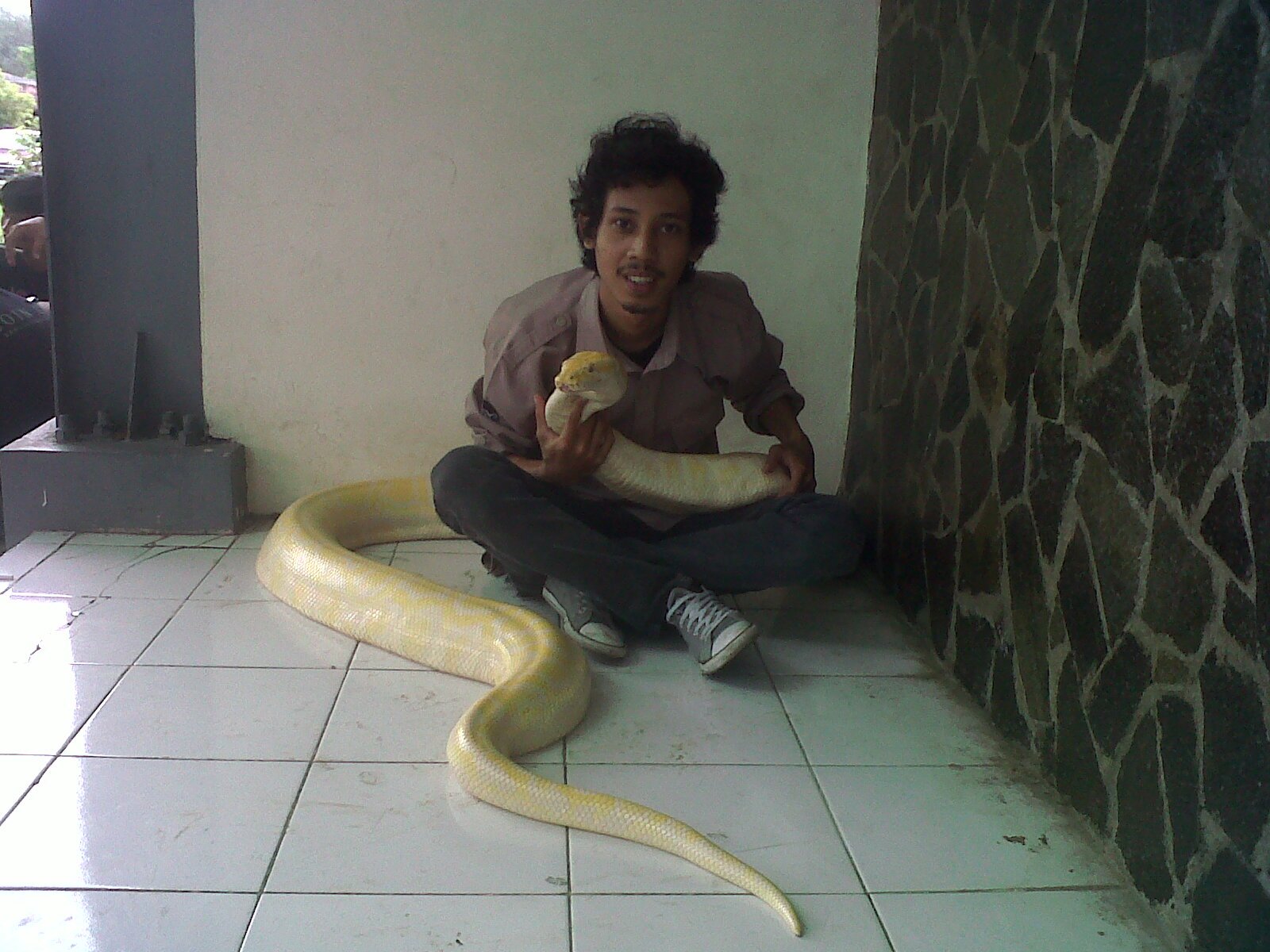 Doa, Usaha, Tawaqal