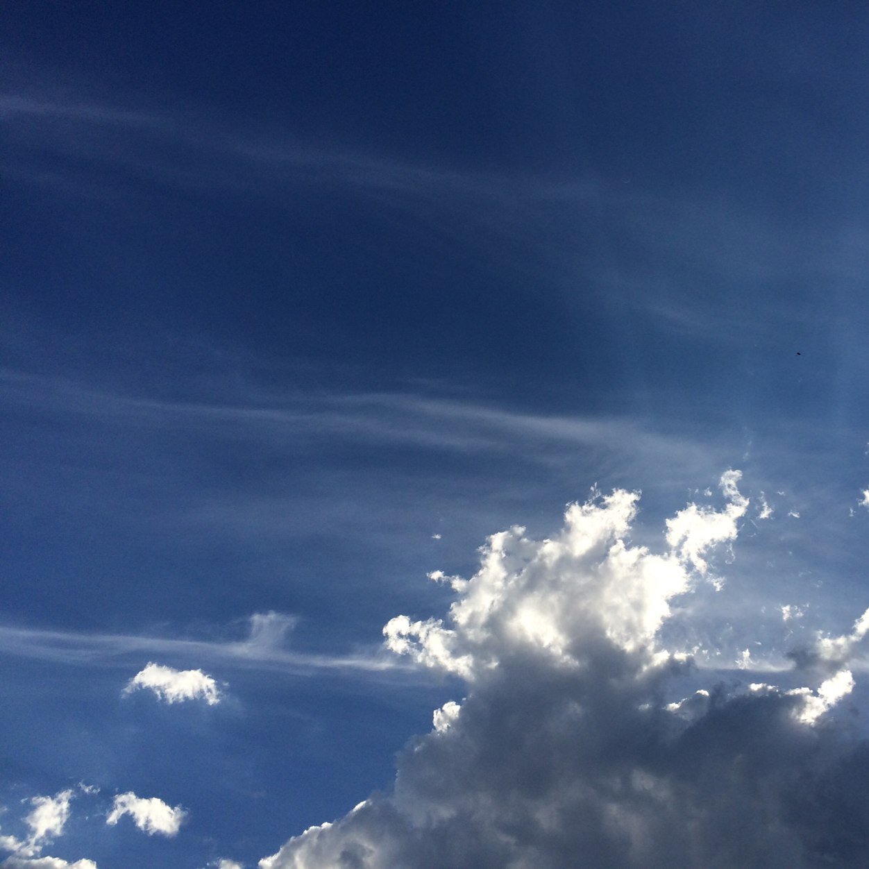 fulano_76's profile picture. 