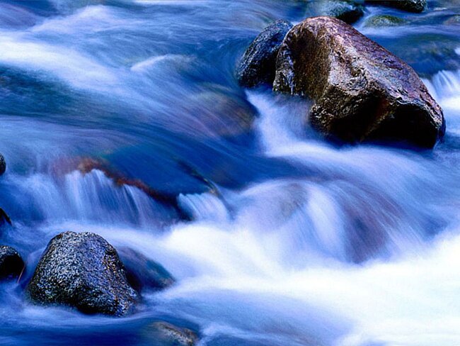 lerakuznecc's profile picture. 