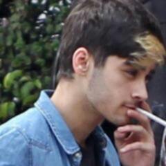 zayn malik. • 21 • bisex. • semidio.