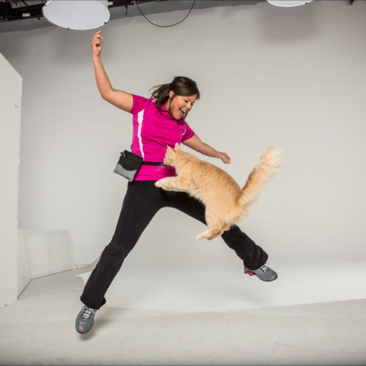Approaching 25 years of professional animal training, Trisha Seifried, started her pet talent agency, Got Pet-ential, making pets famous Nationwide since 2011.