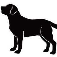 labradors2005's profile picture. 