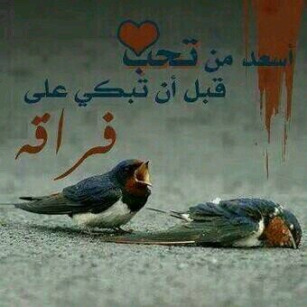 ‏‏‏كل ضحكہ من شفآتک
  تقلبء آلدنيآ جنون ( 75DCE899)