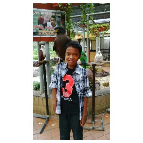 evanssb2000's profile picture. Real Madrid #halamadrid | 89 ({})