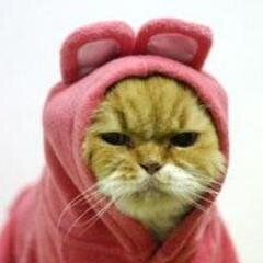 iOS Developer, Pink Master & Swift Ninja