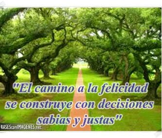 annygonzalezb's profile picture. 