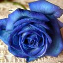 Елена Прекрасная (@06963111f64e45e) Twitter