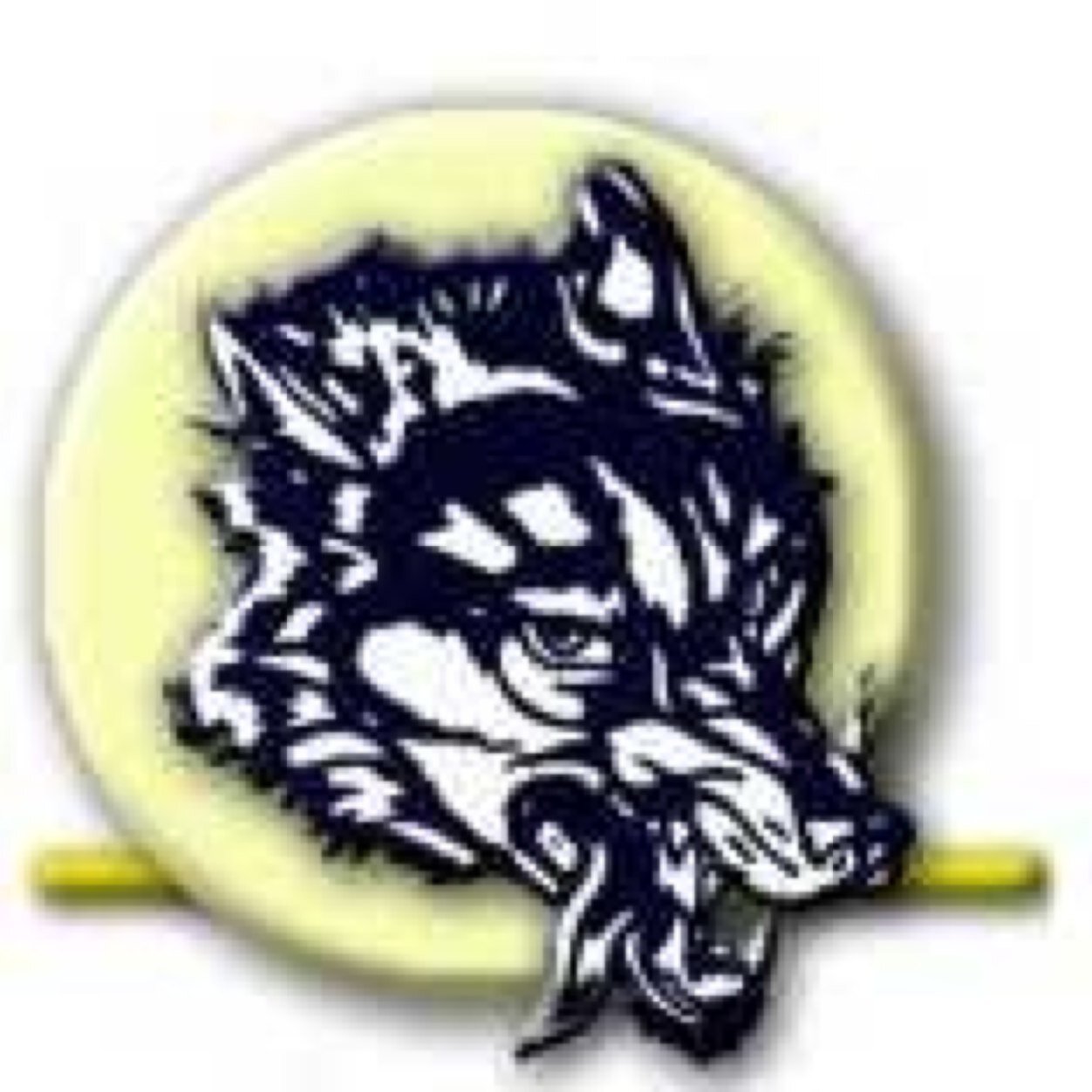 CHS2015Class's profile picture. Representing Clarkston's Senior class of 2015