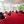 Stadtbibliothek Bielefeld (@Stb_Bielefeld) profile picture