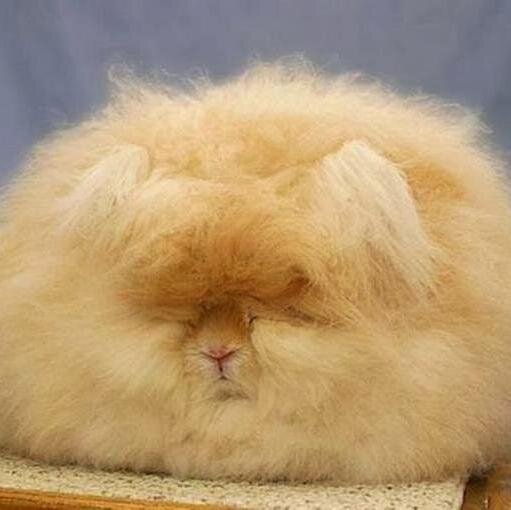 Marketer, Hater of Humidity, Occasionally Amusing