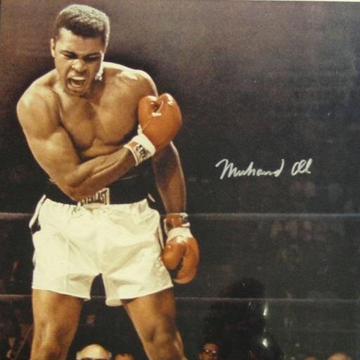 BUENO SUBO COSAS DEL BOXEO
FOTOS ALGÚN QUE OTRO VIDEO Y TODAS LAS DUDAS ME LA PODEIS DEJAR POR MENSAJE