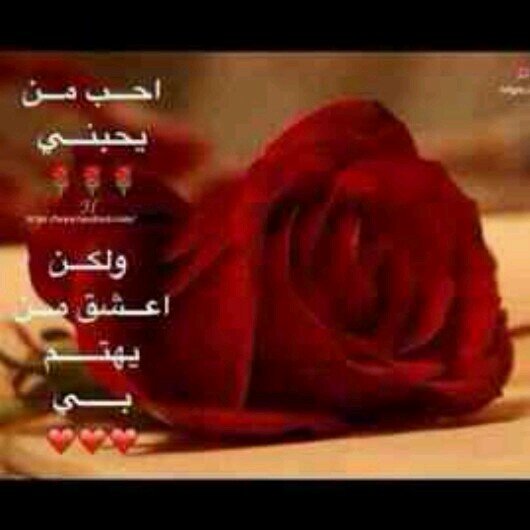 noznoz12331's profile picture. اللهم اشفي مريضنا وعافه وعفو عنه