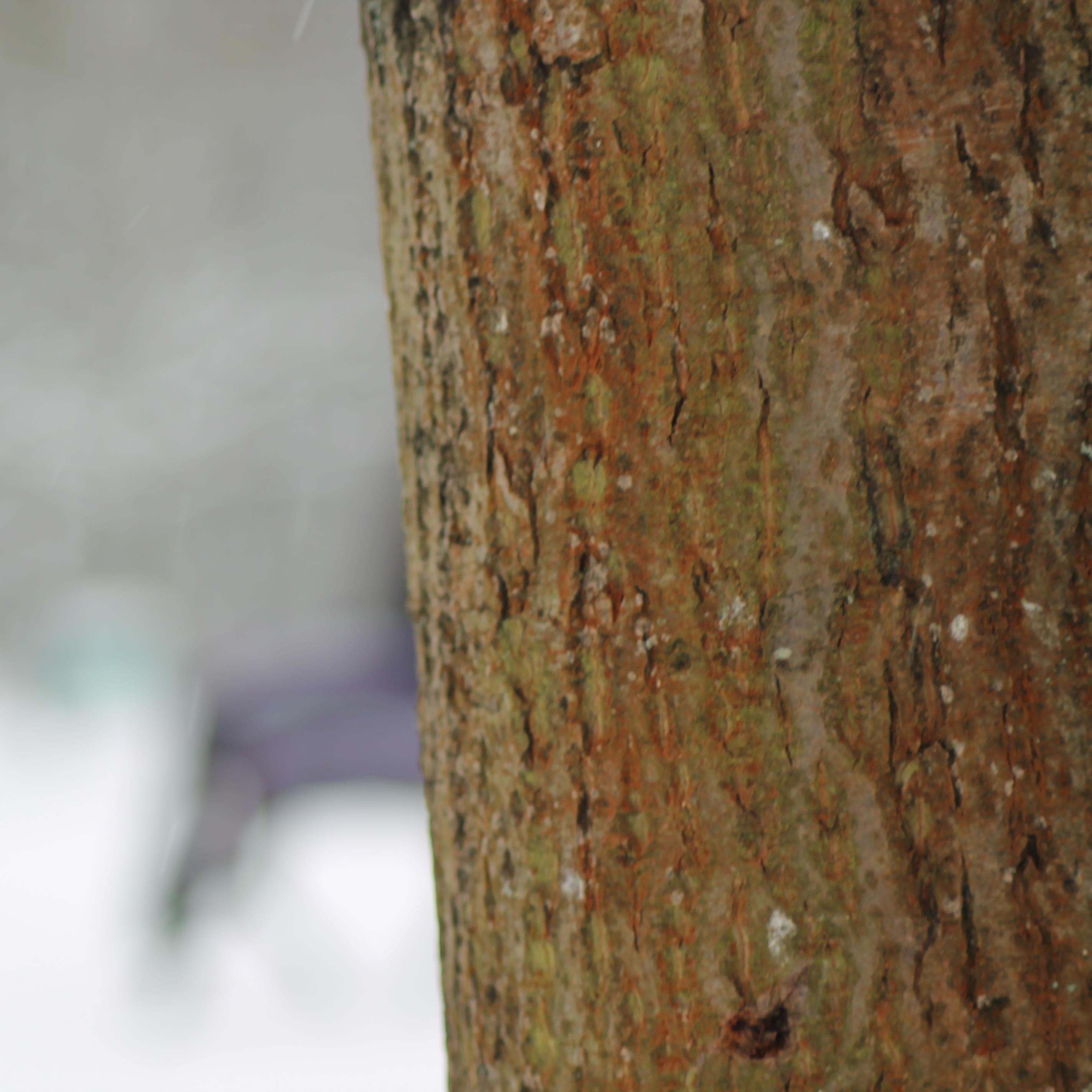 Marier1212's profile picture. ...