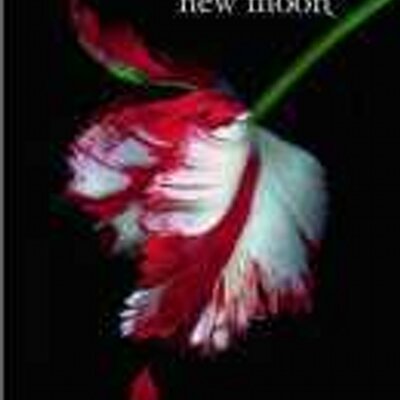 buzzingNewMoon's profile image