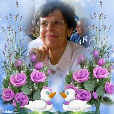 schauer_e's profile picture. 