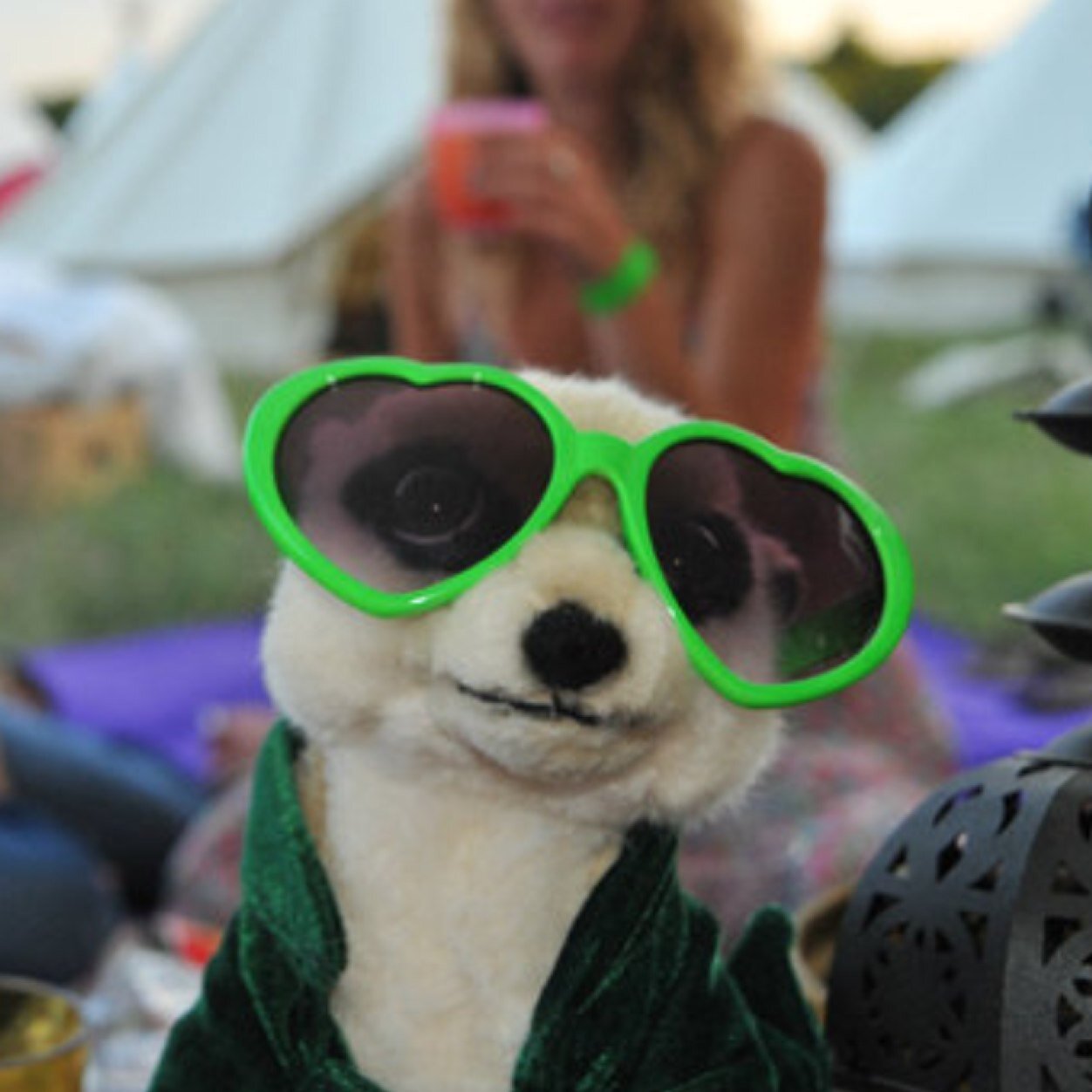 DebonaireDave's profile picture. In the blink of an eye young dave said oh my,
This sounds like a marvellous plan,
He leapt to his paws, hitched up his silk drawers,
Started to tweet with elan