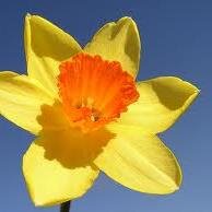 Senghenydd1's profile picture. 