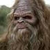 Bigfoot Scholars  (@bigfootscholars) 's Twitter Profile Photo