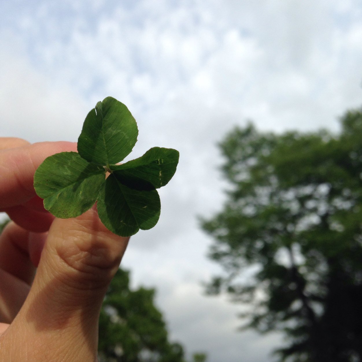 PidsRa's profile picture. 