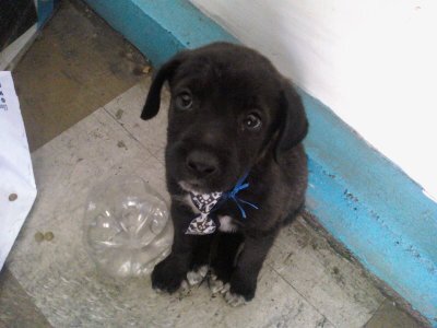 tripanozoma's profile picture. 