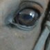 paloma arenillas (@palarenillas) Twitter profile photo