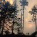 AZ Wildfire (@wildfire_az) Twitter profile photo