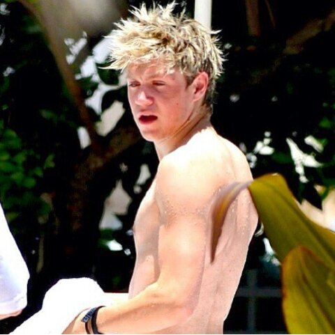 nxrrysjunk's profile picture. Be sexual or GTFO