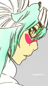 There was a time when we ceased to be Human and became beasts. And then in becoming Arrancar, we regained our capacity for reason. ||Orgullo プライド||