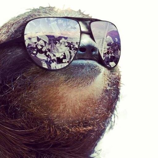 SlothBoss's profile picture. I'm a gamer and a blogger, sharing the coolest stuff I find on the web.