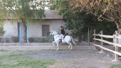 isaac_abellan2's profile picture. Estrella❤