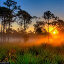 Nick Johns - @Nicoofcp - Twitter