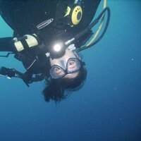 Kristin Yoshimura (@kmyoshimura) 's Twitter Profile