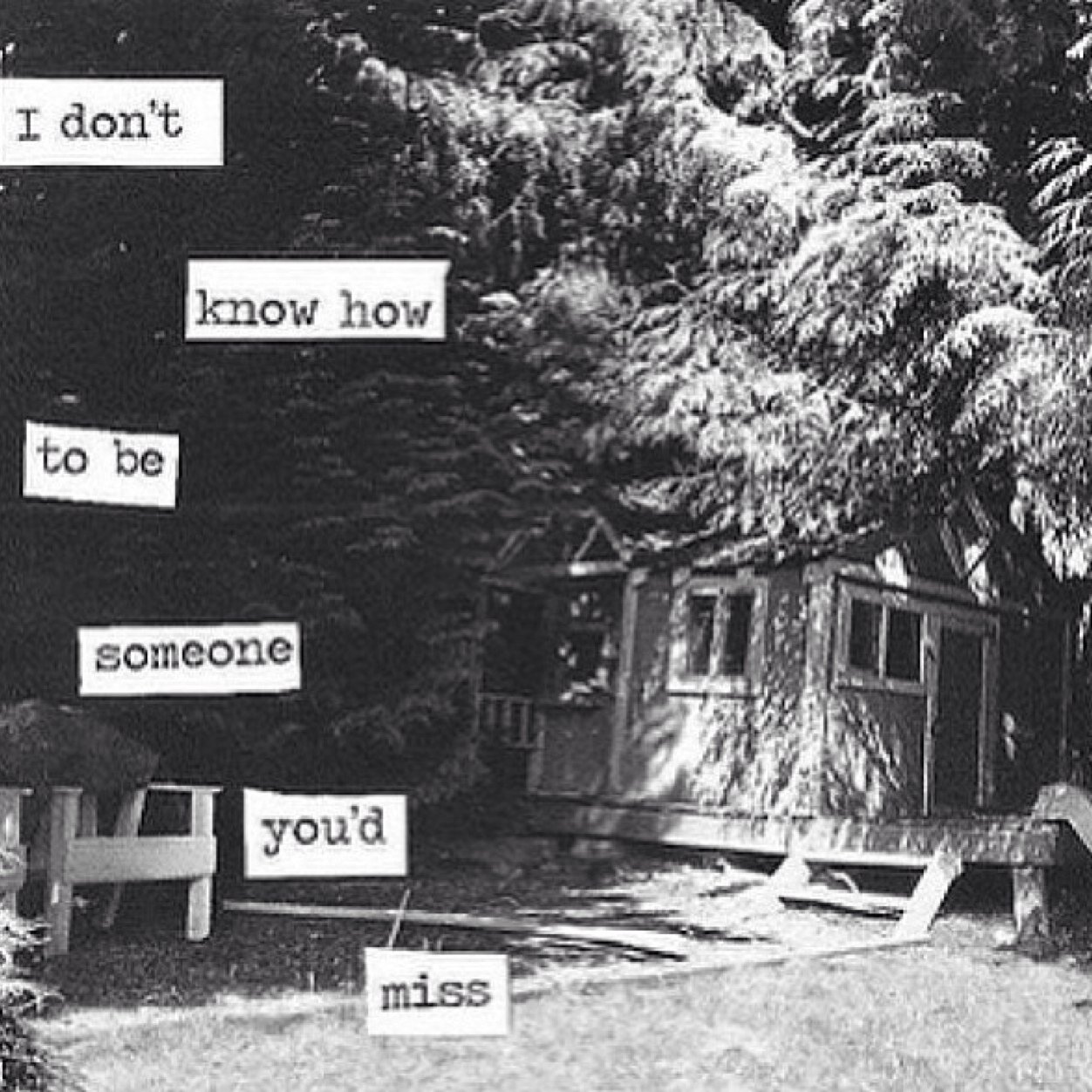screw the bio . ily dm me
