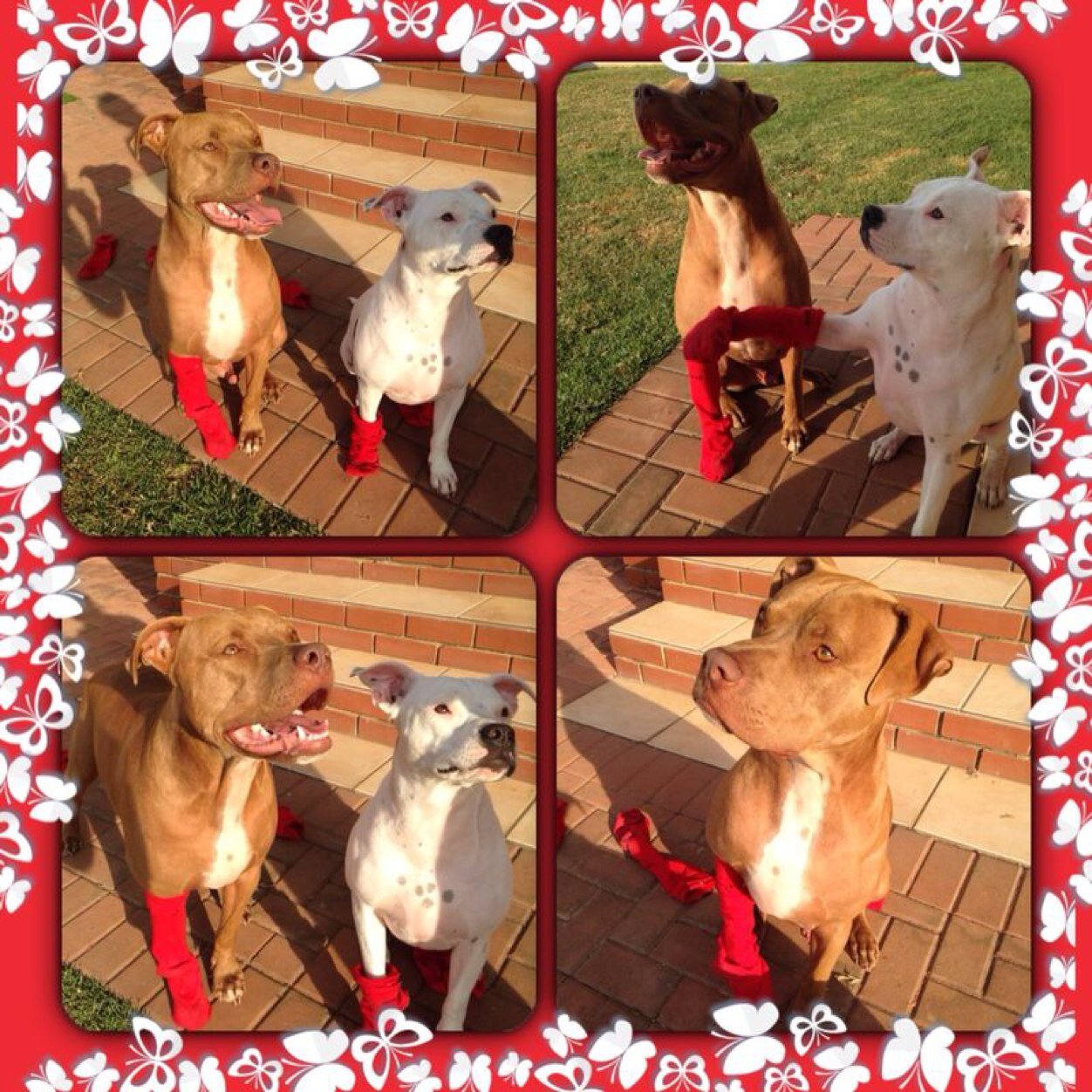 muddy_markf's profile picture. love my friends and family, WP Rugby, sprinkboks, motox, golf, MTB, trail running, triathlons and duathlons.