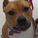 Lisa Gilkey Rucker - @Ruckerridge - Twitter