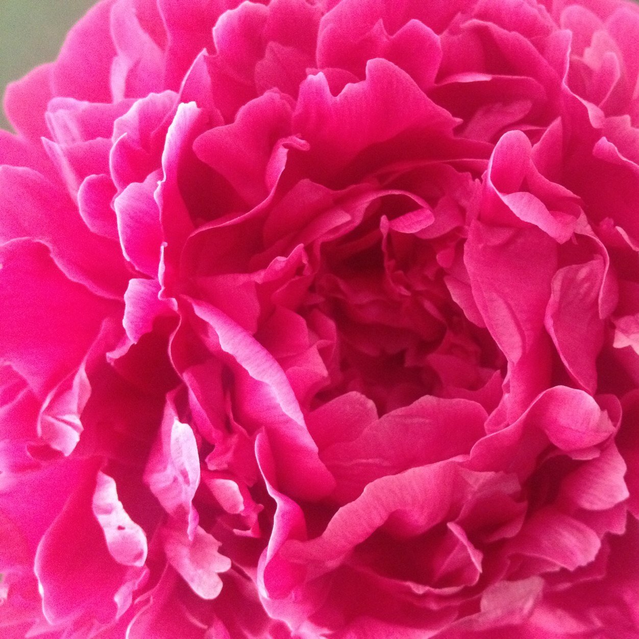 laura9michael's profile picture. 