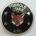 Foxhole Stars AF(C) (@foxholestars) Twitter profile photo