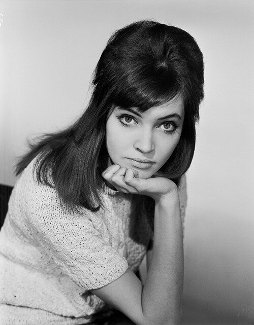 CarolinaDostie's profile picture. ------- Charles Kallaghan Massabo ------ Music Producer/Songwriter. Currently working on