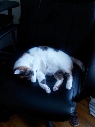 mcstanko_stanko's profile picture. Wife and mother of three