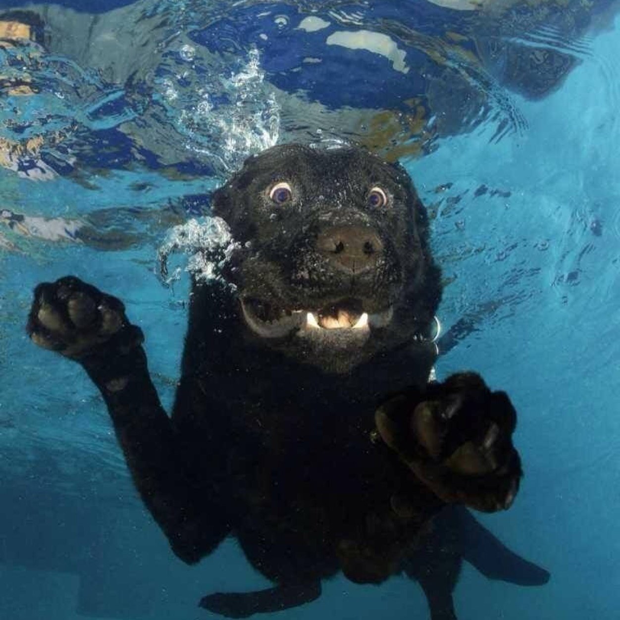 FabNne's profile picture. 