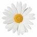 Mant Studios (@mantstudios) Twitter profile photo Mant Studios (@mantstudios) Twitter profile photo