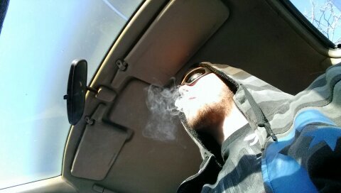 liljammenhauser's profile picture. 