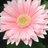 NancyCason's profile image