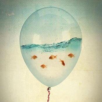 michell13766804's profile picture. 