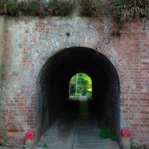 kumakuma1967_o's profile picture. 自分の仕事や専門的なことは、あまりつぶやきません。素人の話。プロフ写真のタイトル履歴 トンネル←たぬき←熊と猪のレリーフ←ねこじゃらし←ぼけ←顔洗って出直してきます