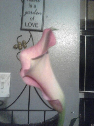 marylouhernan18's profile picture. 