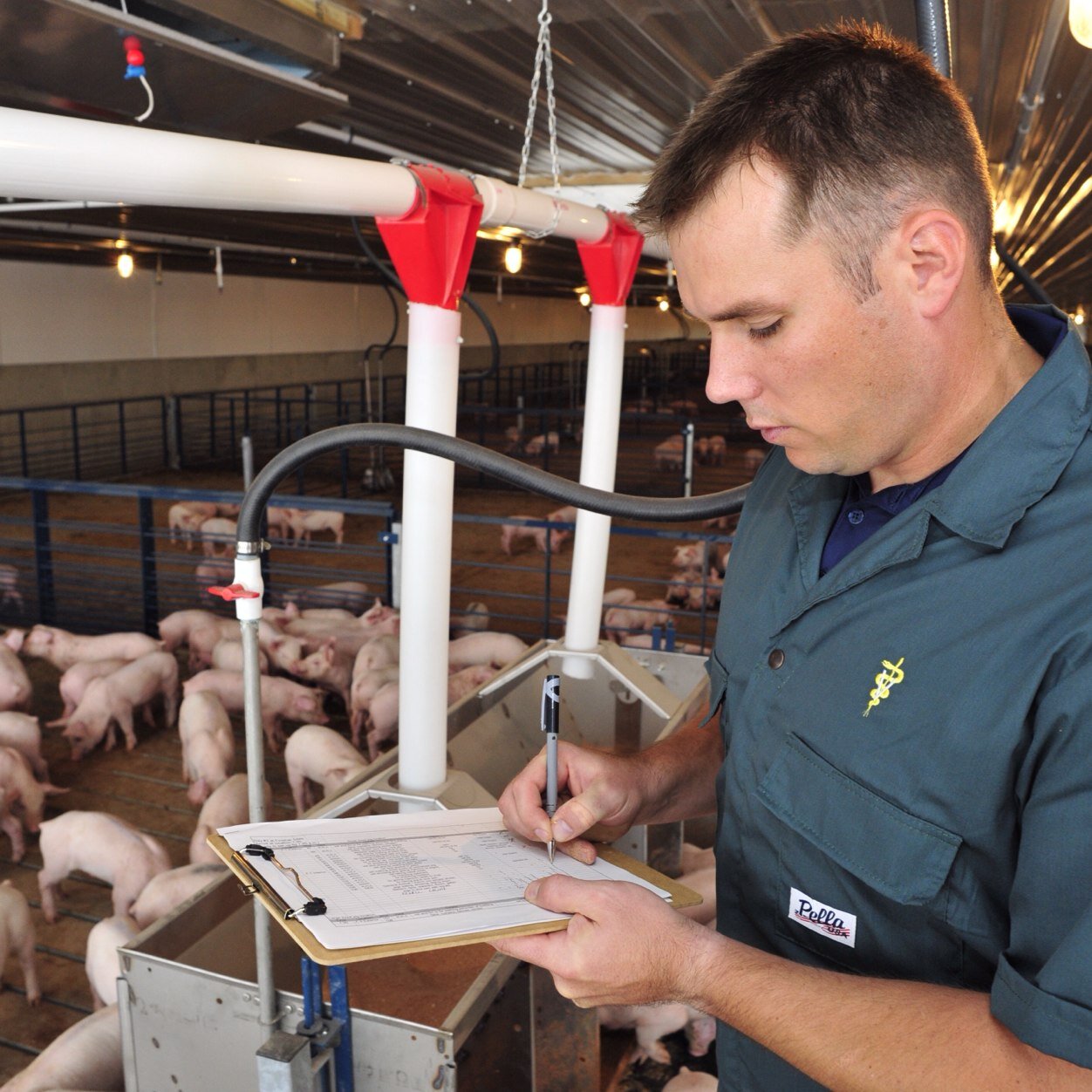 PigDVM's profile picture. Veterinarian, Farmer, Father, Husband passionate about feeding the growing world. I enjoy playing with my kids, running, playing basketball and working.