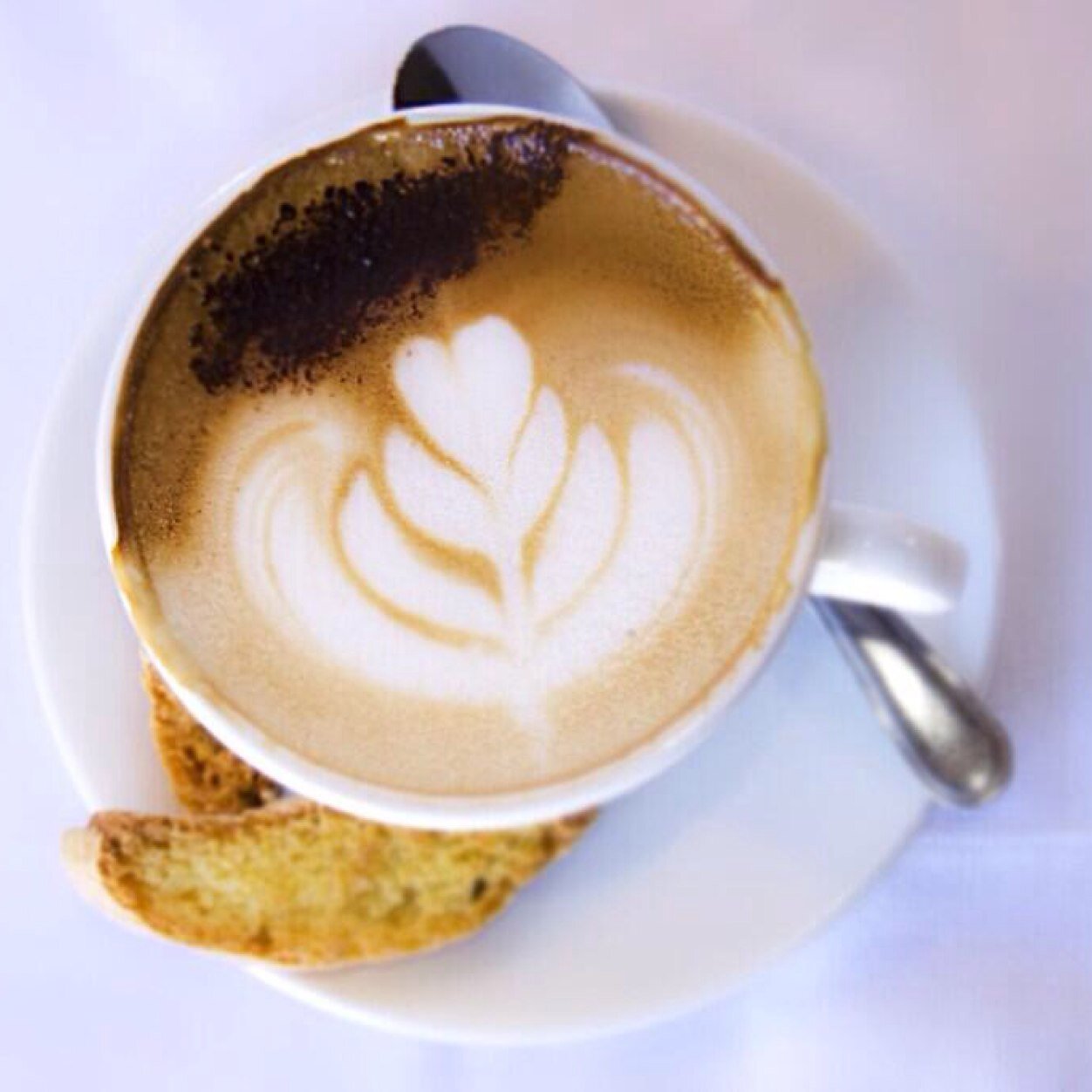 MarcafeCoffee's profile picture. Importers and distributors of Marcafe Coffee [Italy], South Africa