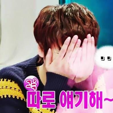 reme_elf's profile picture. Im ELF  for ever 
superjunior love 15 for ever 
We will keep waiting impatiently back as soon as possible please leeteuk oppa