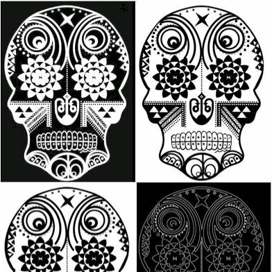 An information source for all things anatomy, health and science related.